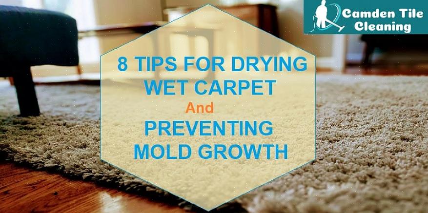 Para saber como combater o mofo em tapetes e pisos
