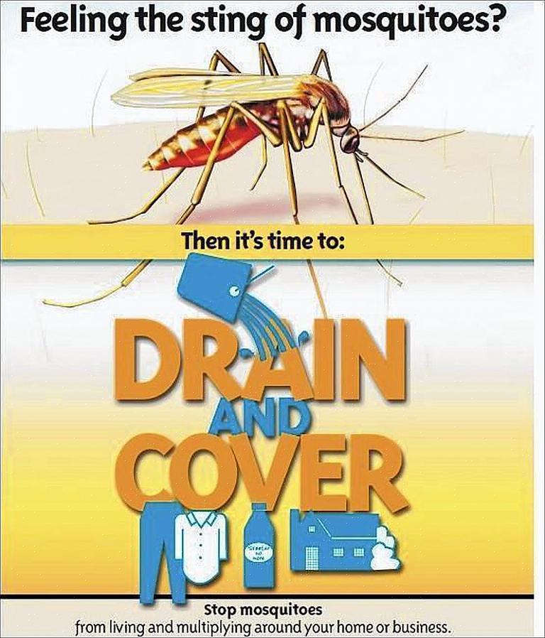 Er den beste måten å unngå disse sykdommene på å bekjempe spredningen av aedes aegypti-myggen