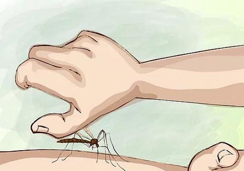 Den beste måten å unngå disse helseproblemene på er å forhindre at myggstikk oppstår i utgangspunktet