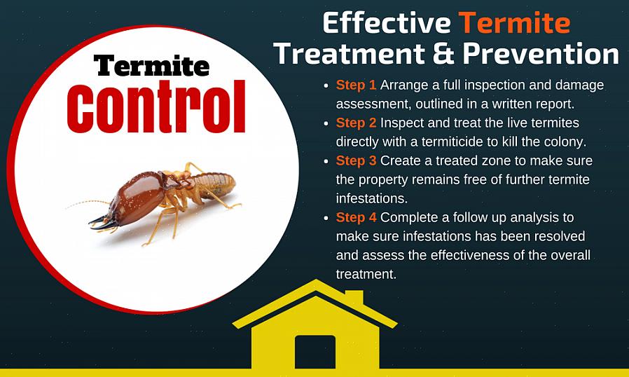 Hvordan bekjempe termitter med appelsinolje