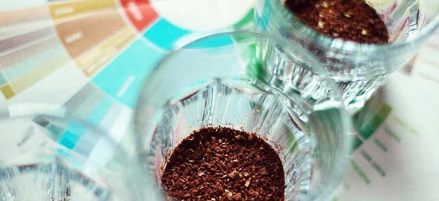 אבל האם אתה יודע איך להשתמש בשטחי קפה על צמחים או להכין דשן עם טחון קפה