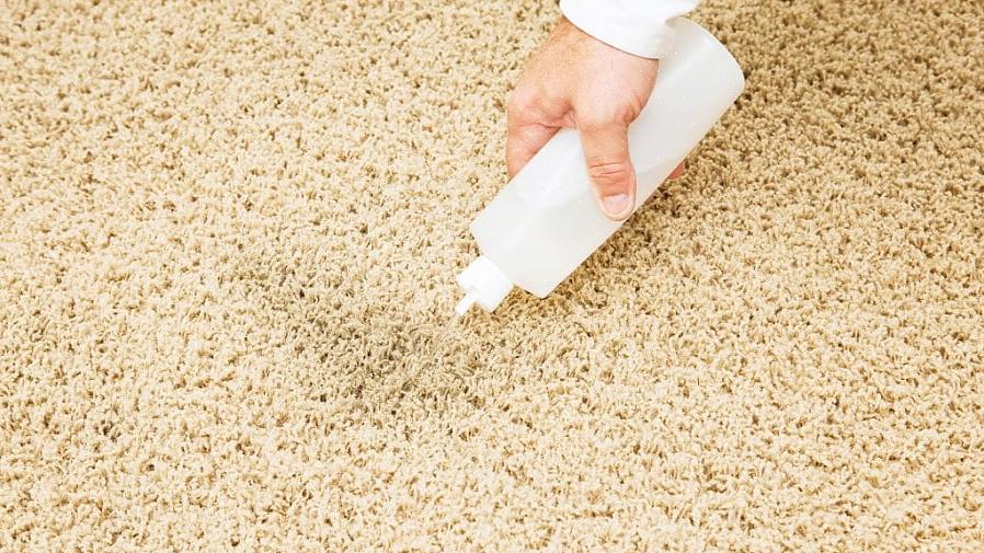 Sliter du med å bli kvitt den ubehagelige lukten av oppkast fra teppet ditt