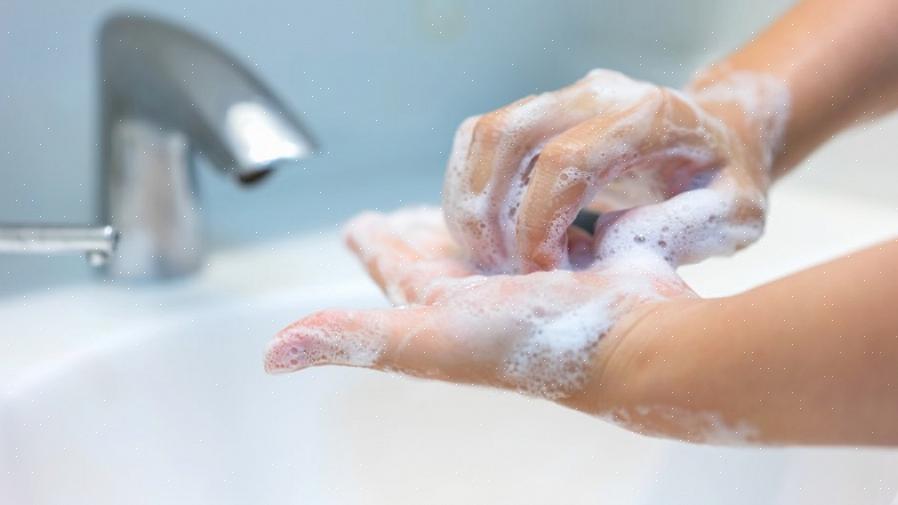 הידיים שלך יכולות לבוא במגע עם חיידקים ווירוסים לא רק כאשר לוחצים ידיים