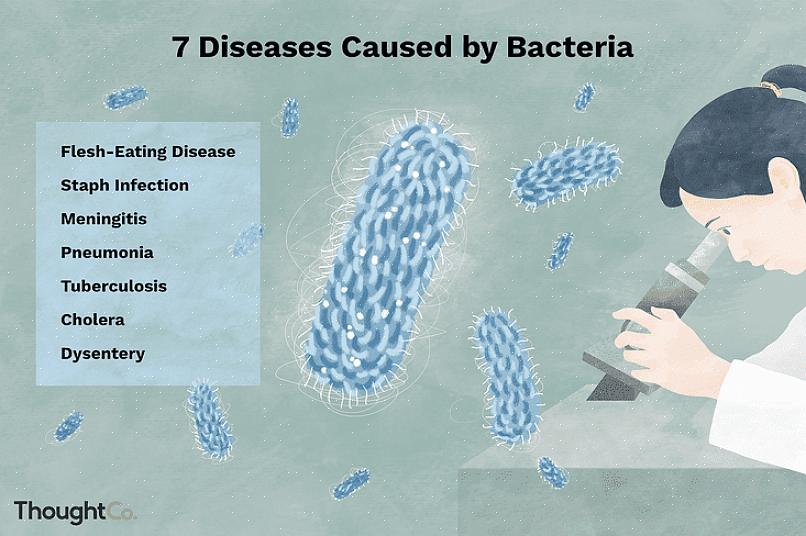 Bidrar til å forhindre sykdommer forårsaket av bakterielle infeksjoner