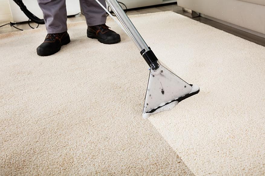 שימוש באבקה או סודה היא דרך טובה לנקות את השטיח שלך - הנה איך לעשות את זה