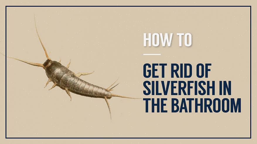 Heldigvis er det mange måter å bli kvitt sølvfisk på badet raskt