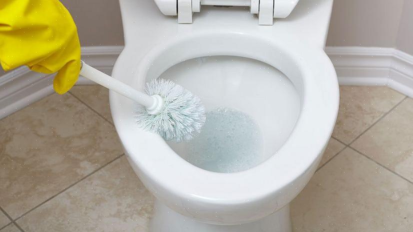 Abaixo estão algumas dicas mais detalhadas sobre como limpar o assento do vaso sanitário Como limpar o vaso