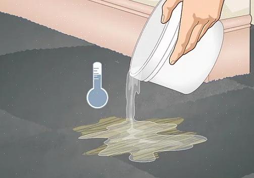 איך להסיר את ריח הפיפי מהשטיח