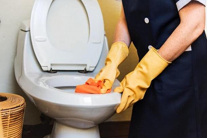 Os acessórios básicos para a limpeza do vaso sanitário são um agente de limpeza adequado