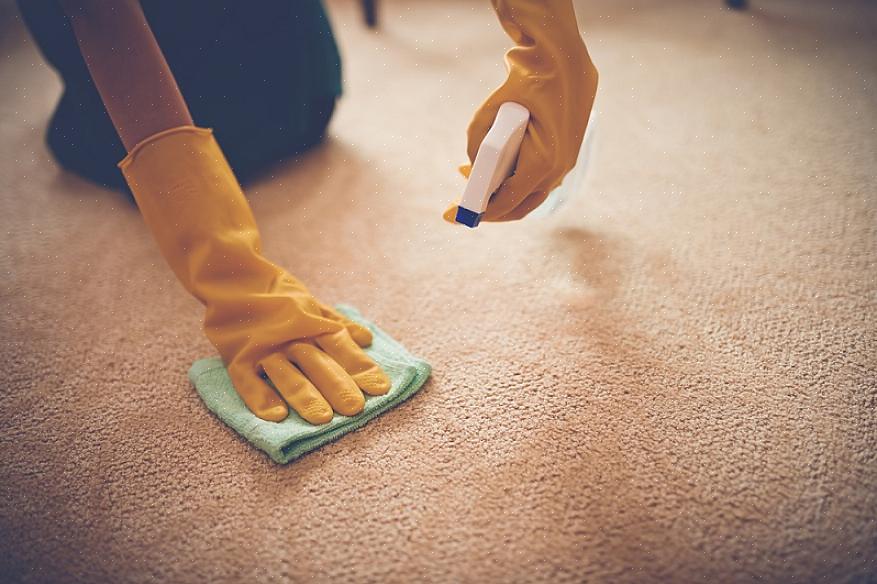 מומחי גוגל יגידו לכם כיצד לנקות במהירות כתמי שטיח בבית