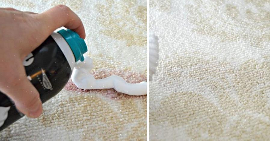 אתה יכול לנקות שטיחים במהירות באמצעות אבקה מיוחדת - פשוט לפזר אותו באופן שווה על השטיח